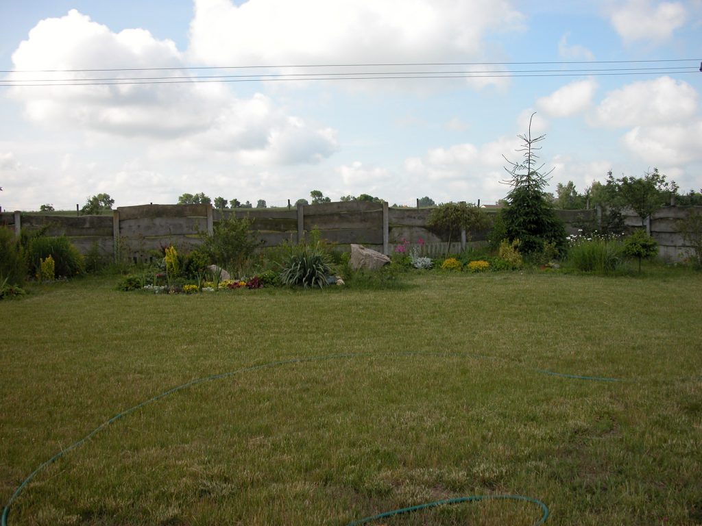 Vegetable fruit and herb garden