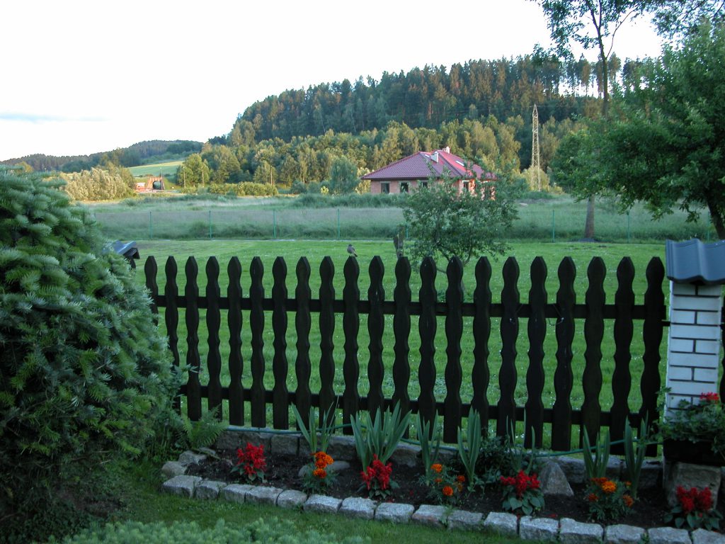 Backyard garden