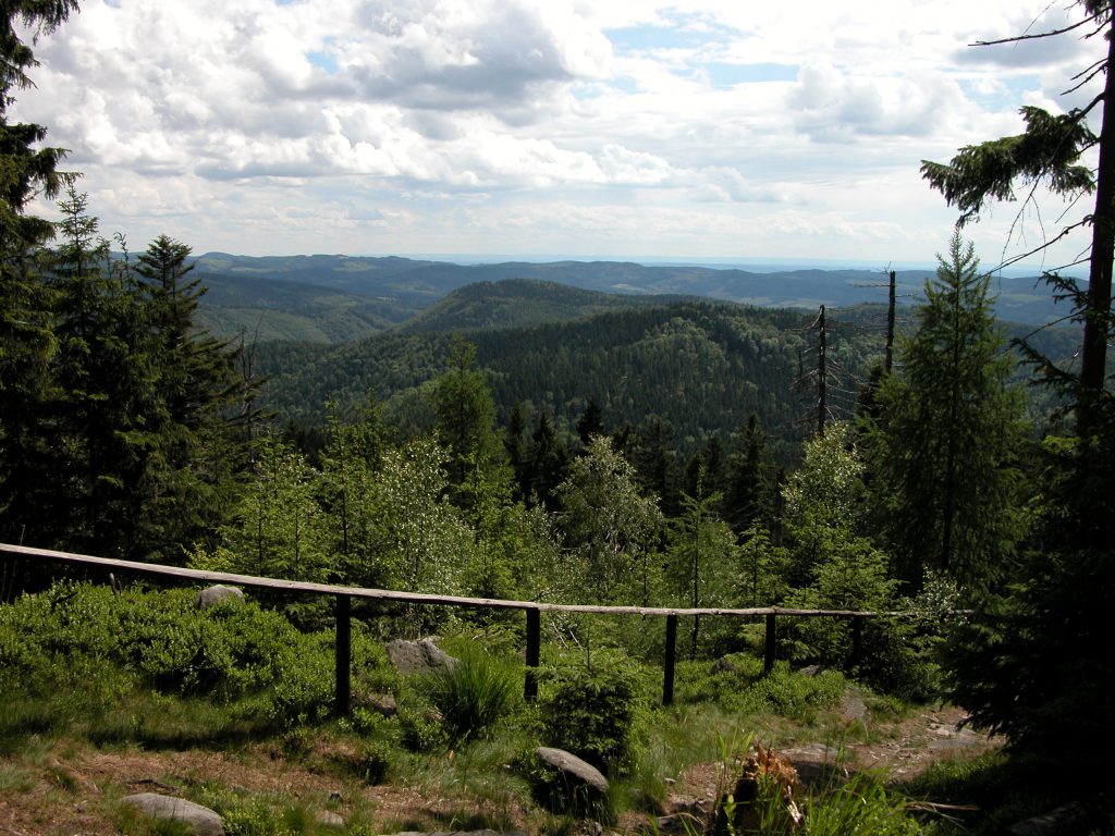 Poland hiking