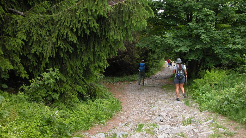 Hiking downhill