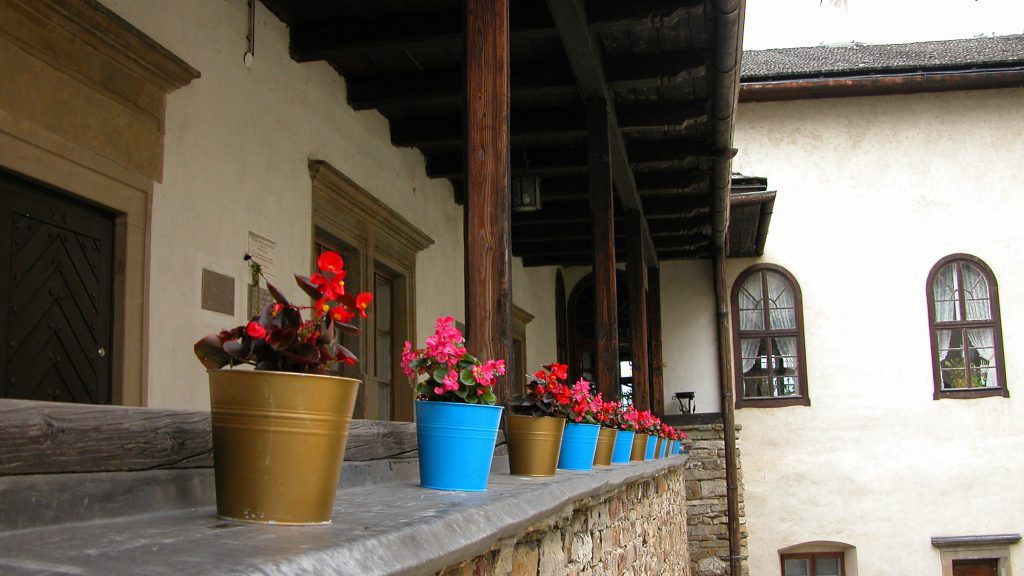Some flowers in the courtyard of Niedzica Castle
