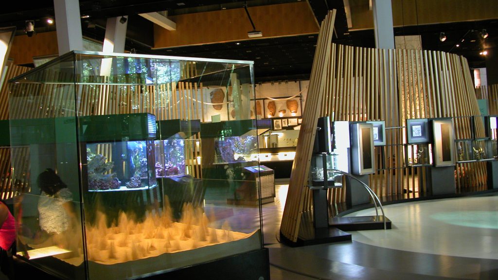 CosmoCaixa Barcelona