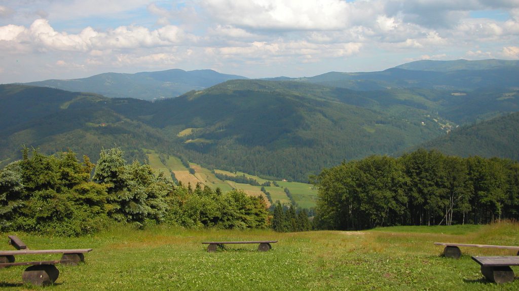 Benches in mountain field