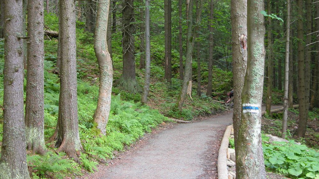 Blue trail marker