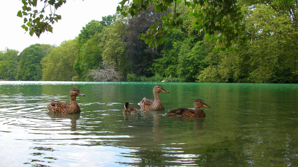 Parc de la Tête d'Or