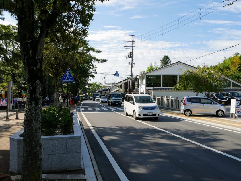 The crosswalk in front of Nara Park