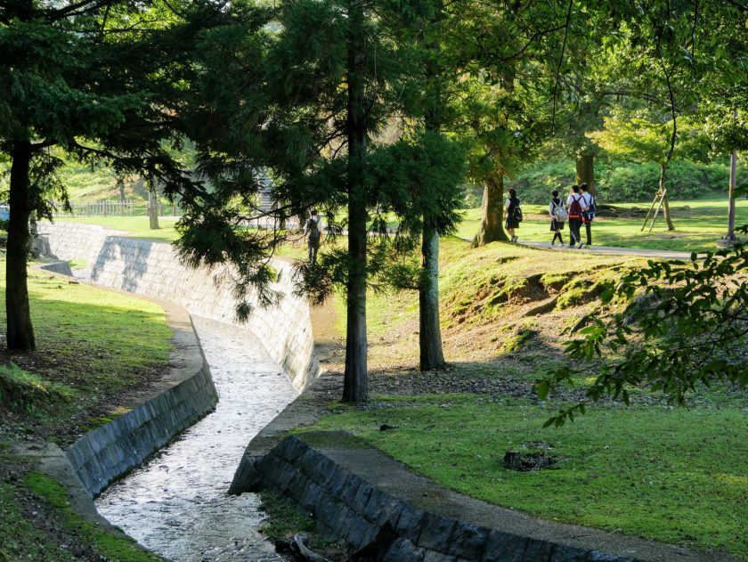 Foot paths of Nara Park