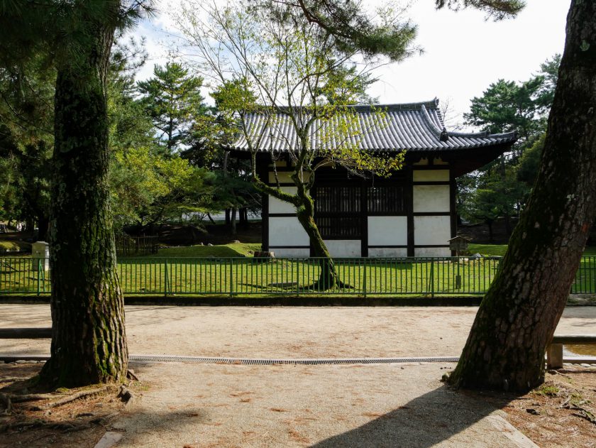 Nara Park Japan