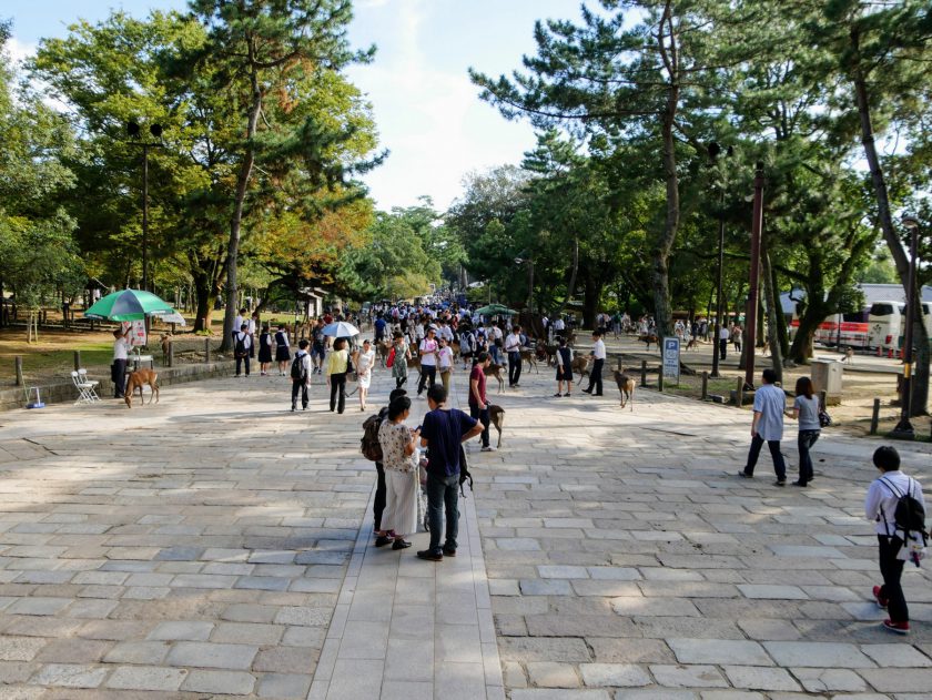 Crowds gather at the entrance to Todaiji Temple