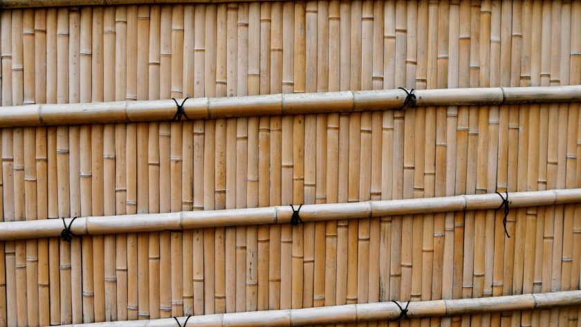 Bamboo fence