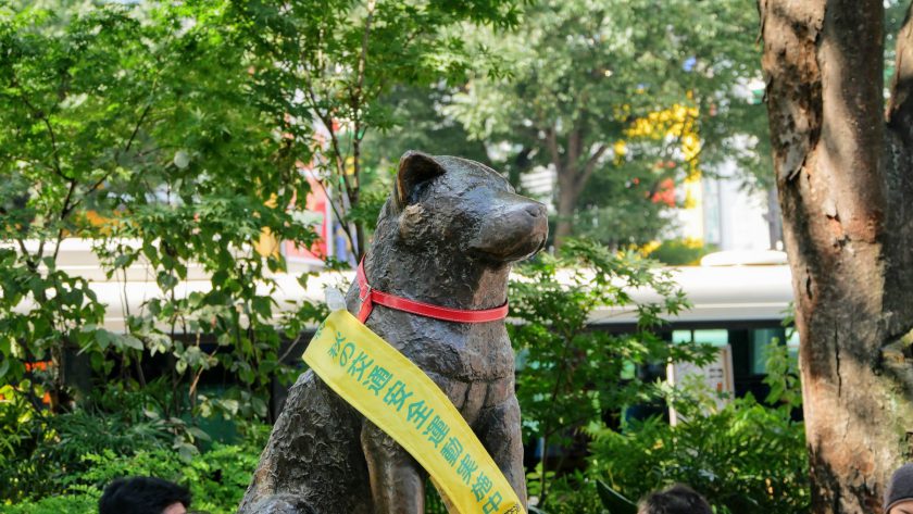 Hachiko