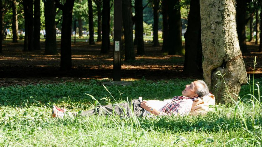 Yoyogi Park