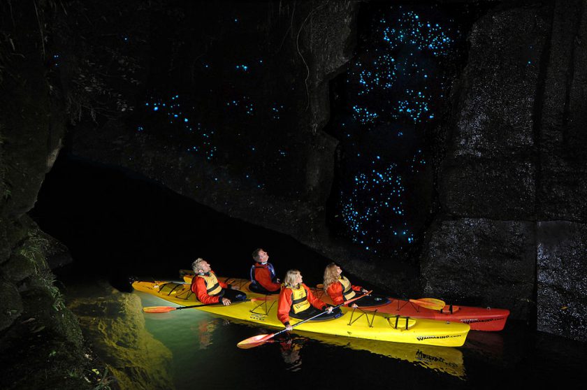 Glowworm Caves, New Zealand